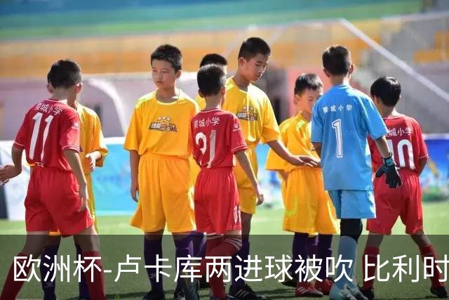 欧洲杯-卢卡库两进球被吹 比利时0-1斯洛伐克